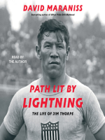 Path_Lit_by_Lightning